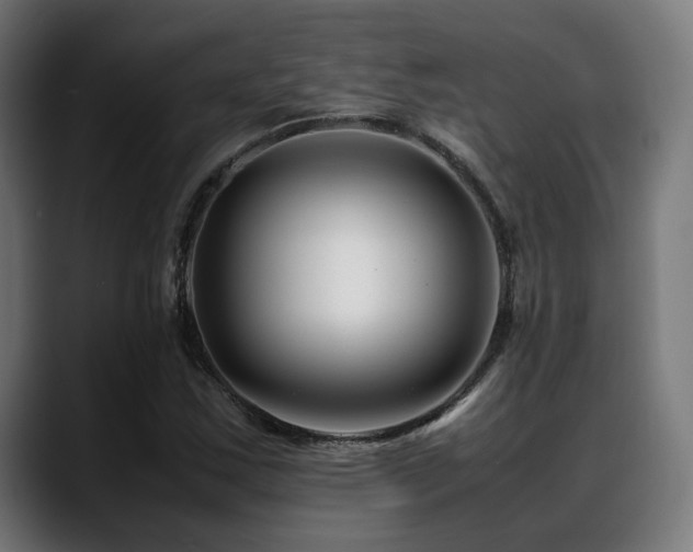 X0000088661163200705251516