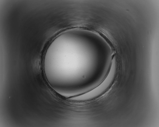 X0000088661164200705251516