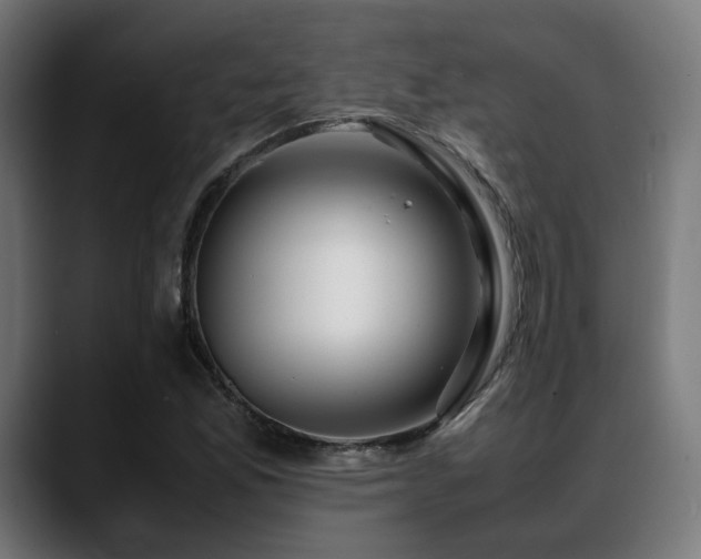 X0000088661165200705251516