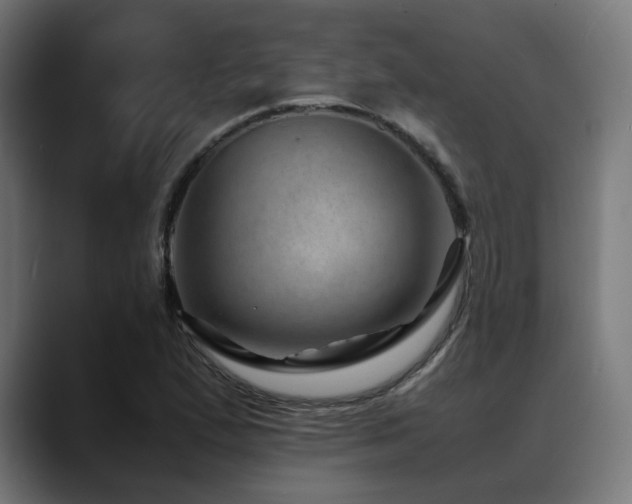 X0000088661167200705251516