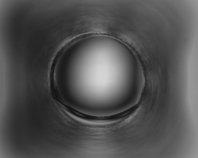 X0000088661168200705251516