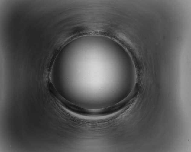 X0000088661169200705251516