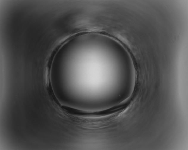 X0000088661171200705251516