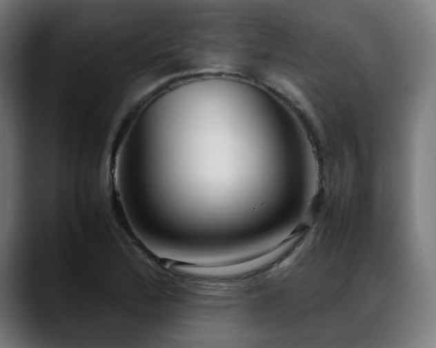 X0000088661172200705251516