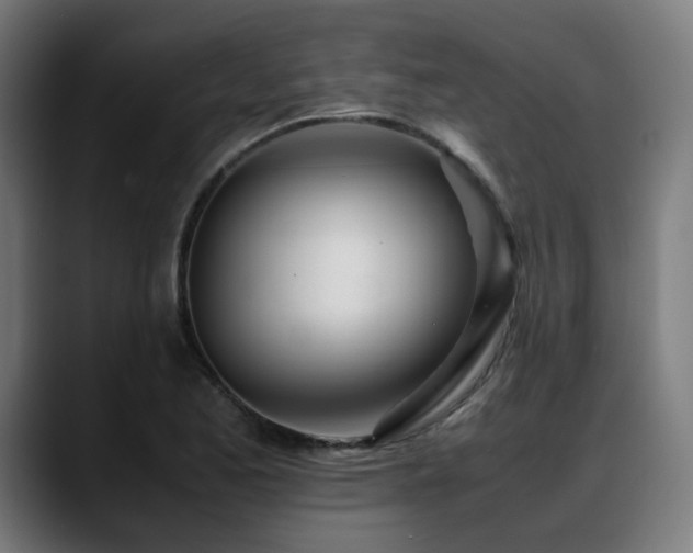 X0000088661173200705251516