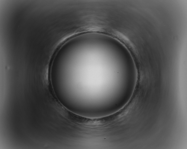 X0000088661174200705251516