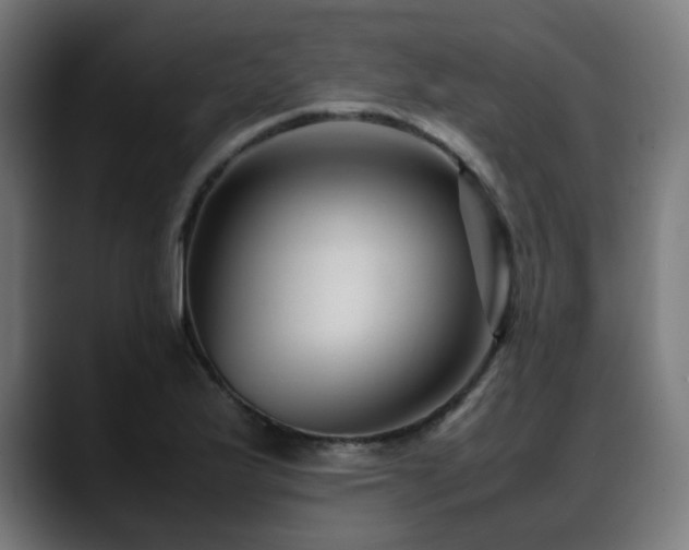 X0000088661175200705251516