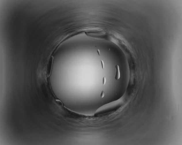 X0000088661177200705251516