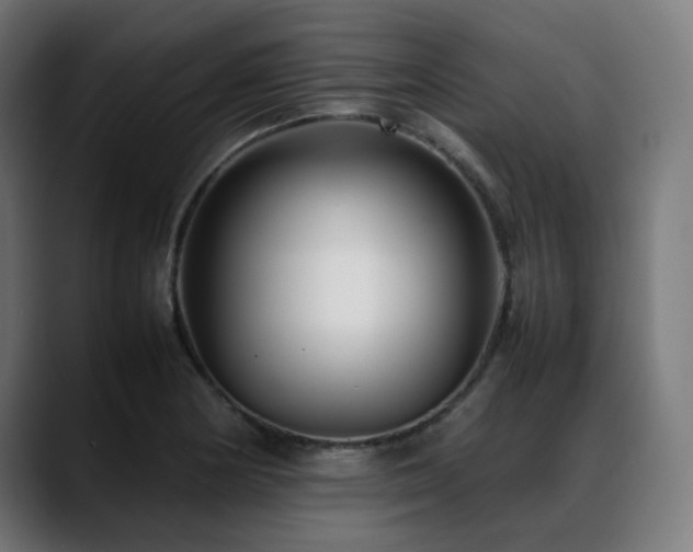 X0000088661178200705251516