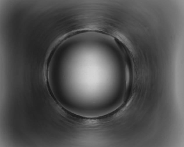 X0000088661180200705251516