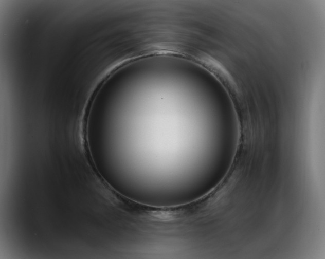 X0000088661182200705251516