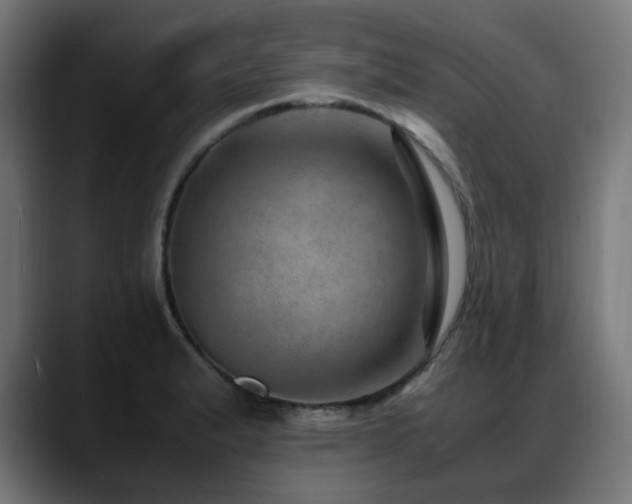 X0000088661183200705251516