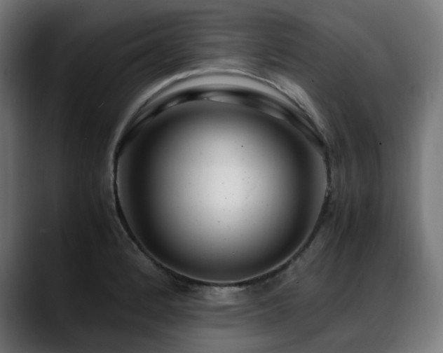 X0000088661184200705251516