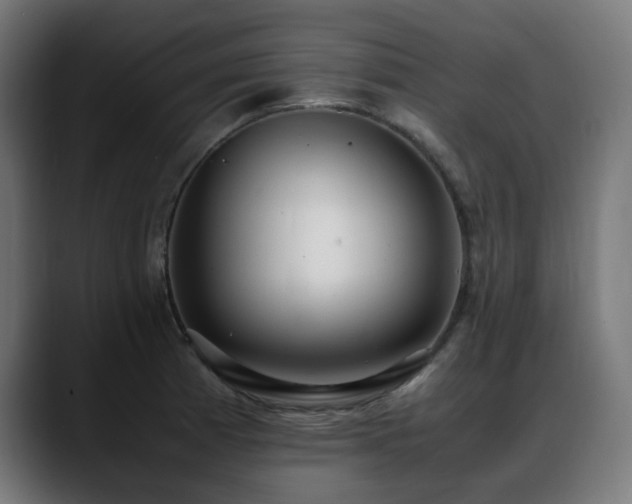 X0000088661185200705251516