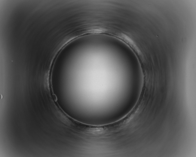 X0000088661186200705251516