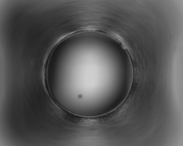 X0000088661187200705251516