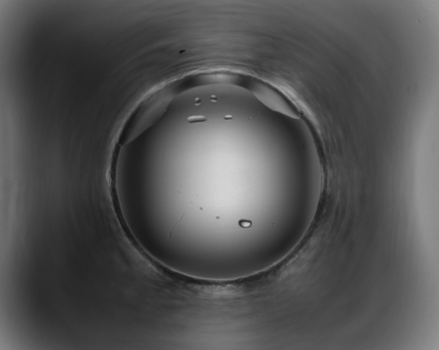 X0000088661189200705251516