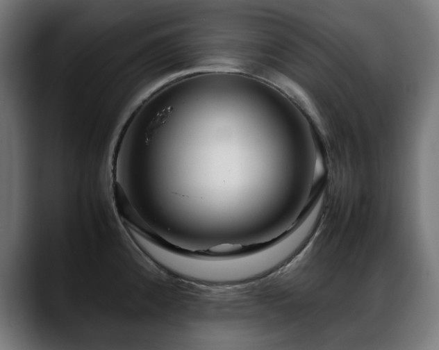 X0000088661192200705251516