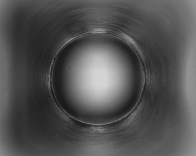 X0000088661194200705251516