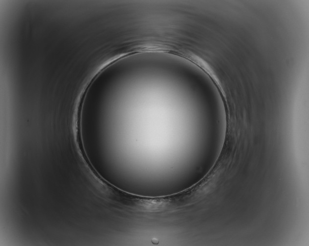 X0000088661195200705251516