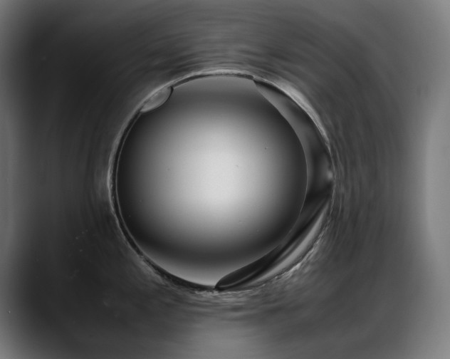 X0000088661197200705251516