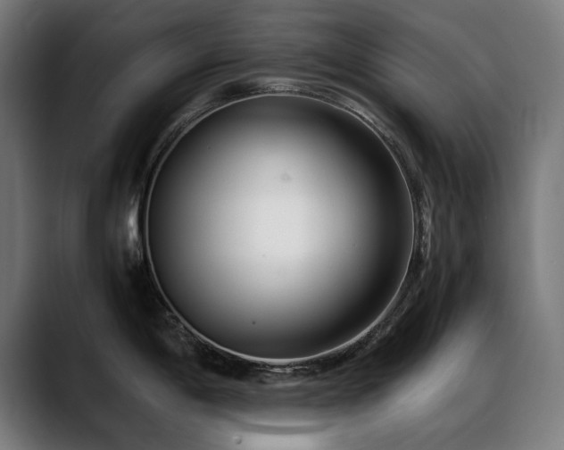 X0000088661198200705251516