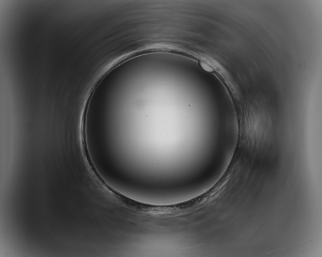 X0000088661199200705251516