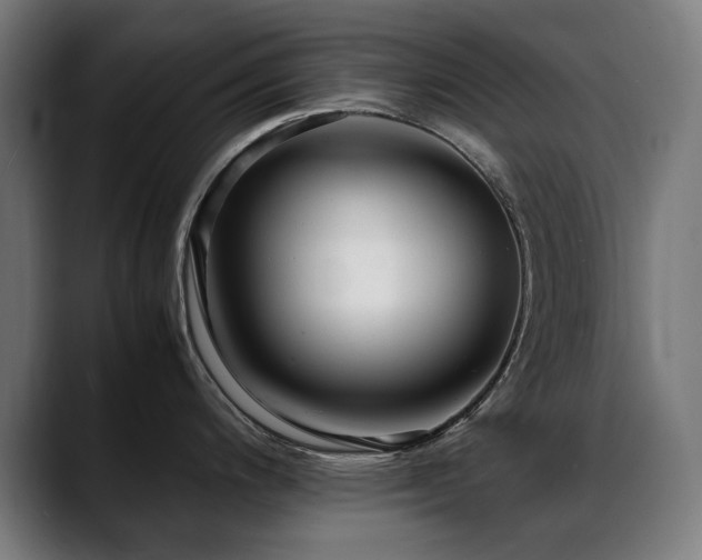 X0000088661200200705251516