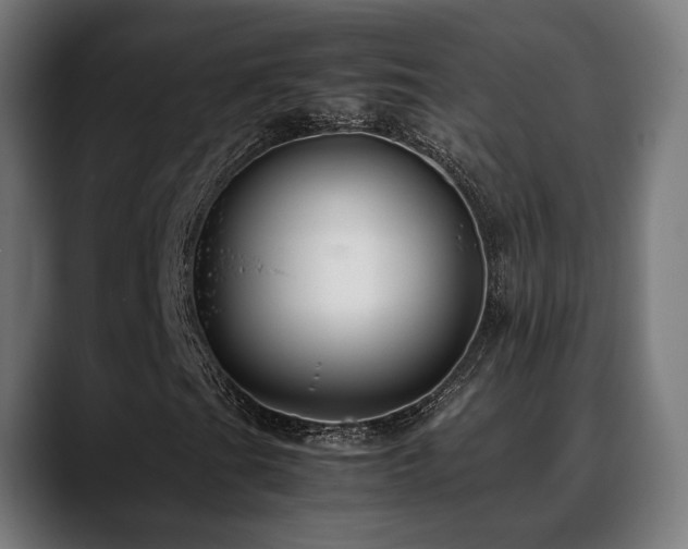 X0000088661201200705251515