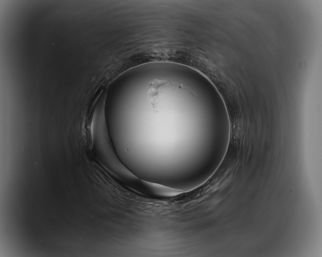 X0000088661202200705251515