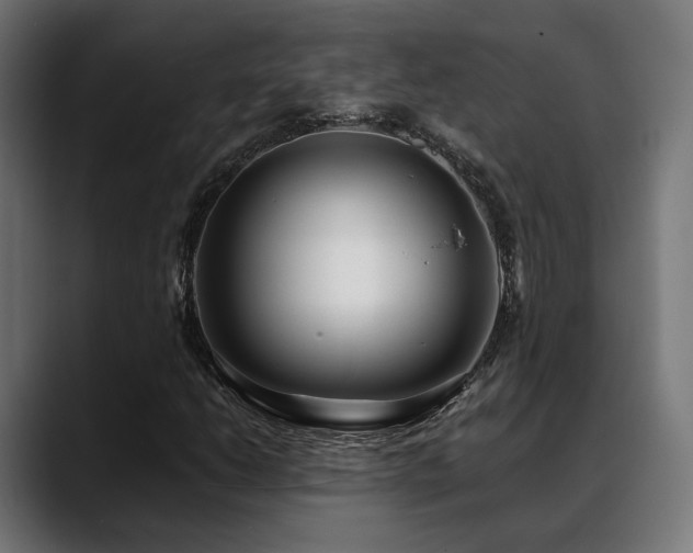 X0000088661206200705251515