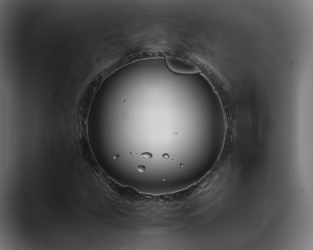 X0000088661207200705251515