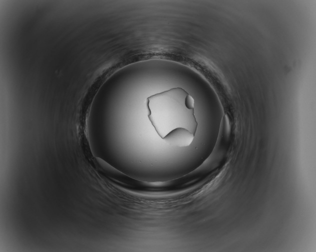 X0000088661210200705251515