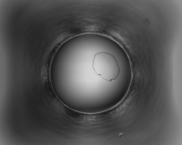 X0000088661211200705251515