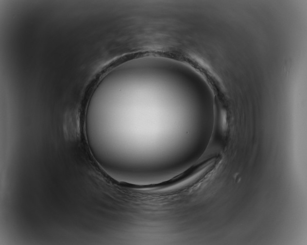 X0000088661214200705251515