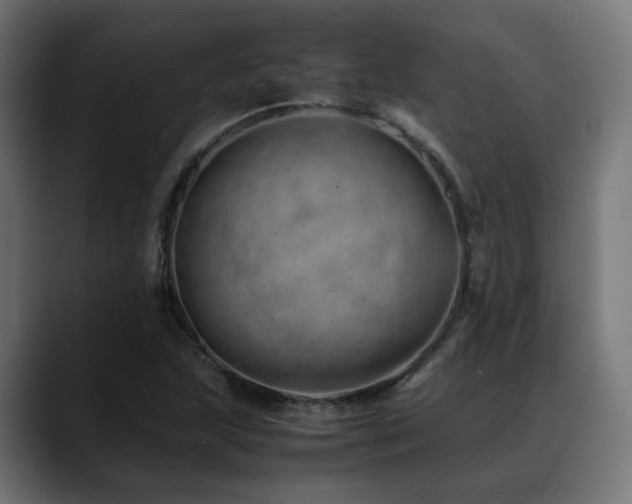 X0000088661215200705251515