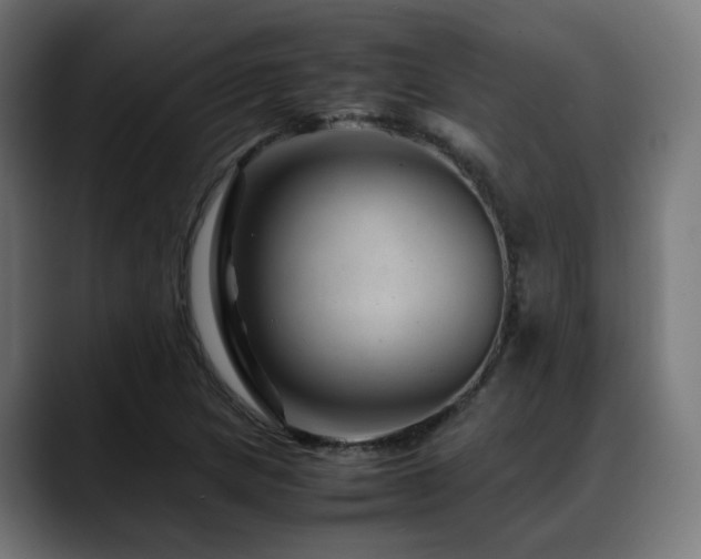 X0000088661217200705251515