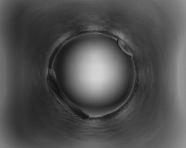 X0000088661221200705251515