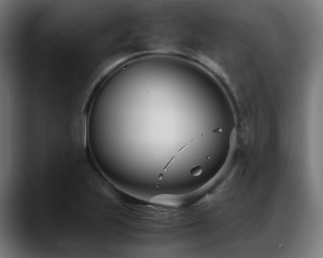 X0000088661223200705251515