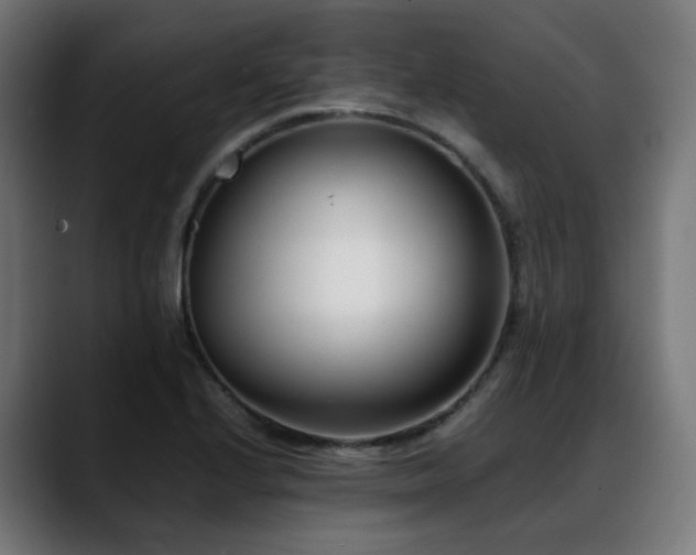 X0000088661224200705251515