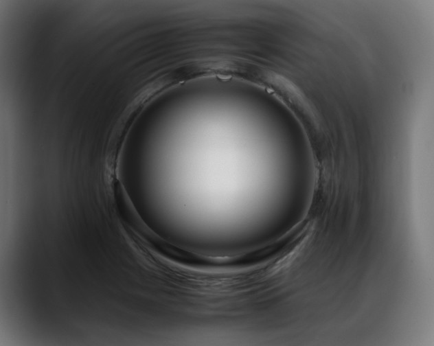 X0000088661225200705251515