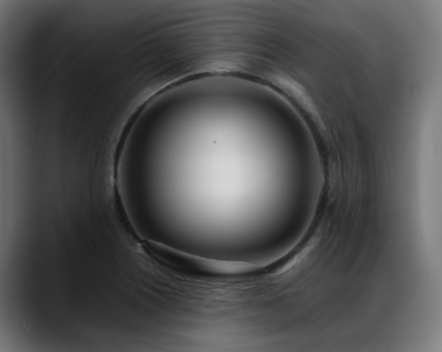 X0000088661226200705251515