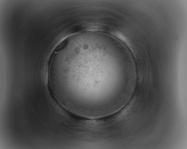 X0000088661227200705251515