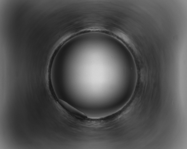 X0000088661229200705251515