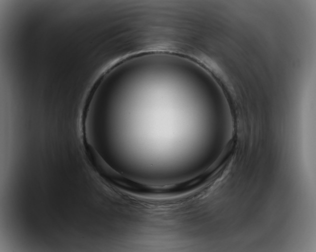 X0000088661230200705251515