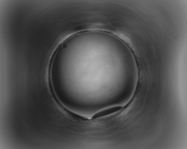 X0000088661231200705251516