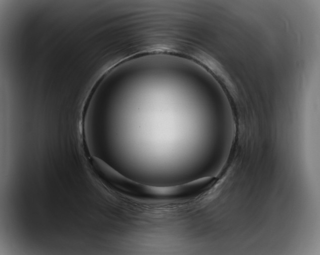 X0000088661234200705251516