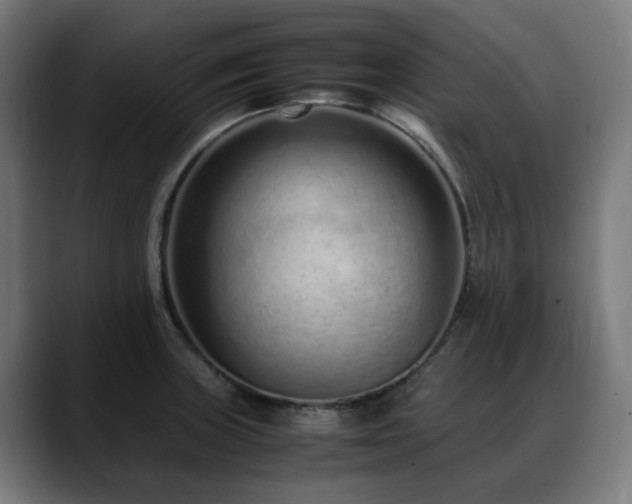 X0000088661235200705251516