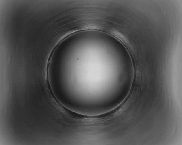 X0000088661236200705251516