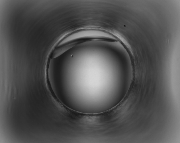 X0000088661237200705251516